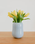 Banded Vase 05